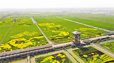     稻漁空間生態(tài)休閑觀光園。